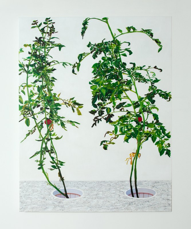 Alex Fischer, Vii 叶安 Ye an, 2015-02-26